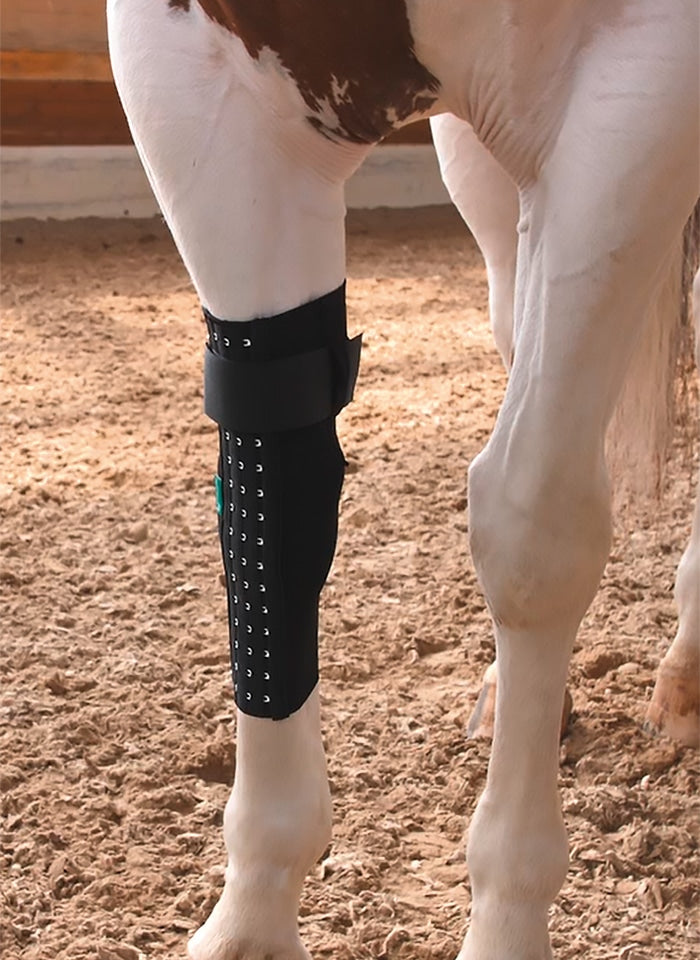 Angezogene Maßbandage am Pferdebein