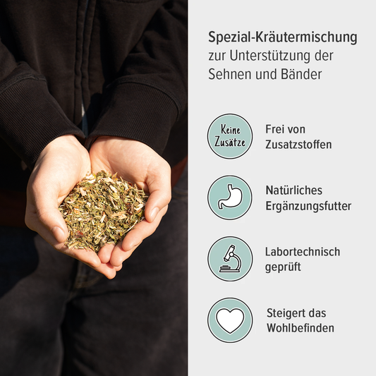 USPs der EquiCrown Sehnen-Kräutermischung