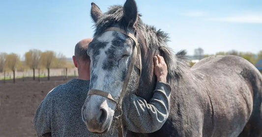 Ein Mann umarmt ein graues Pferd