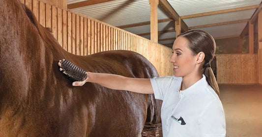 Frau striegelt Pferd mit EquiCrown Massagestriegel
