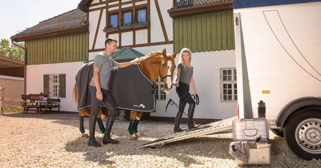 Pferdetransport ➡️ So bereitest du dich und dein Pferd richtig vor!