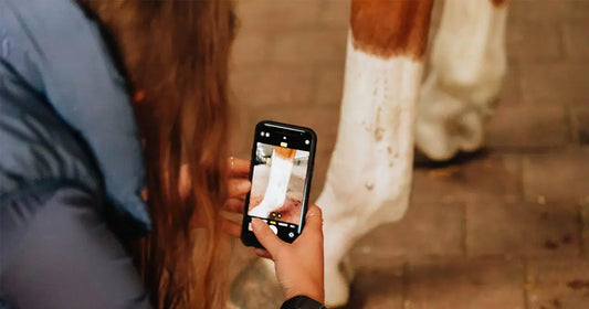 Frau fotografiert Pferdebeine mit Handy