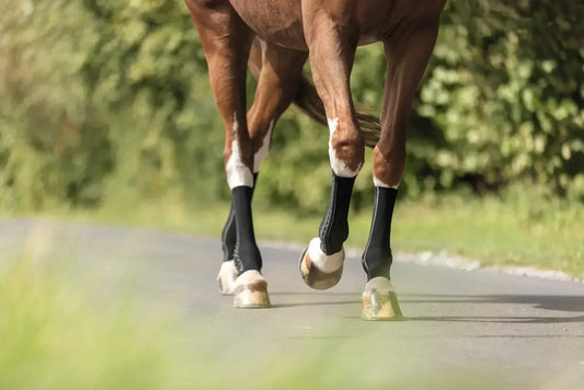 Pferd läuft auf Weg und trägt EquiCrown fit Kompresionsbandagen an allen Beinen 