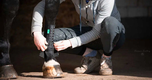 Frau legt EquiCrown fit Kompressionsbandage am Pferdebein an