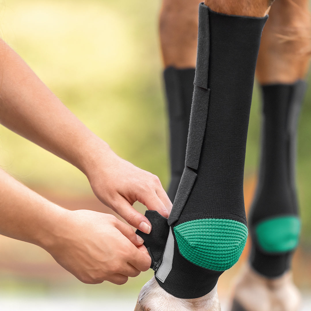 Frau zieht Pferd eine EquiCrown active Kompressionsbandage an