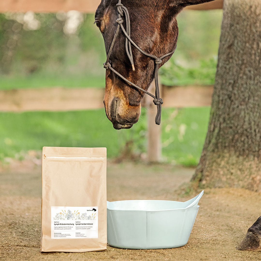 Kräutermischungen für Pferde