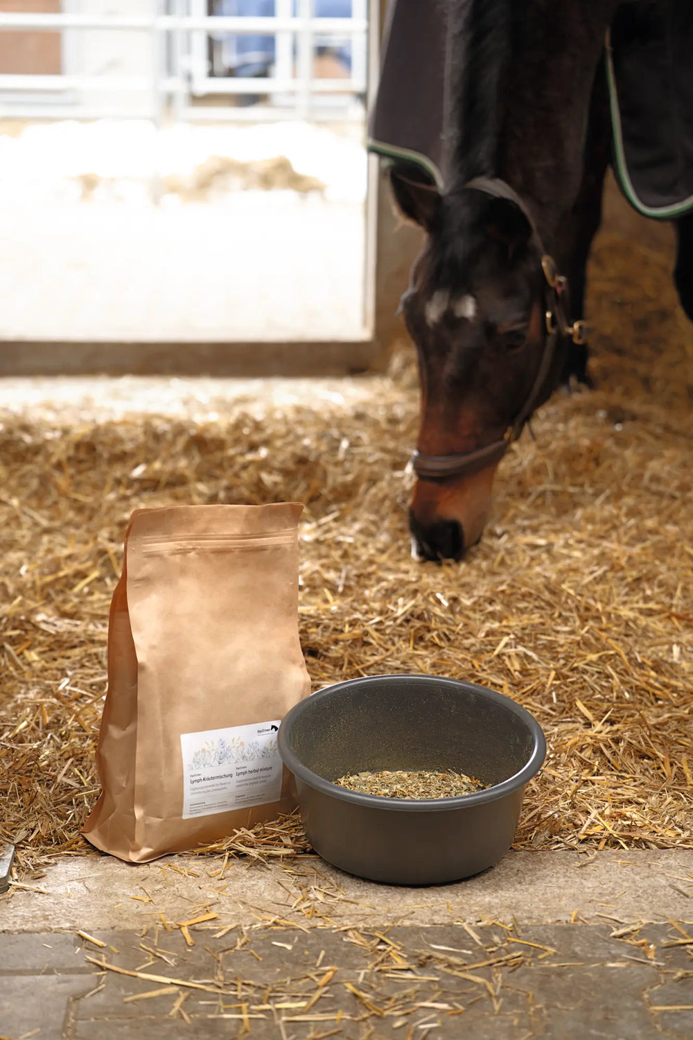 Pferd schnuppert an Heu im Stall. Im Vodergrund steht eine Schüssel mit der EquiCrown Lymph-Kräutermischung
