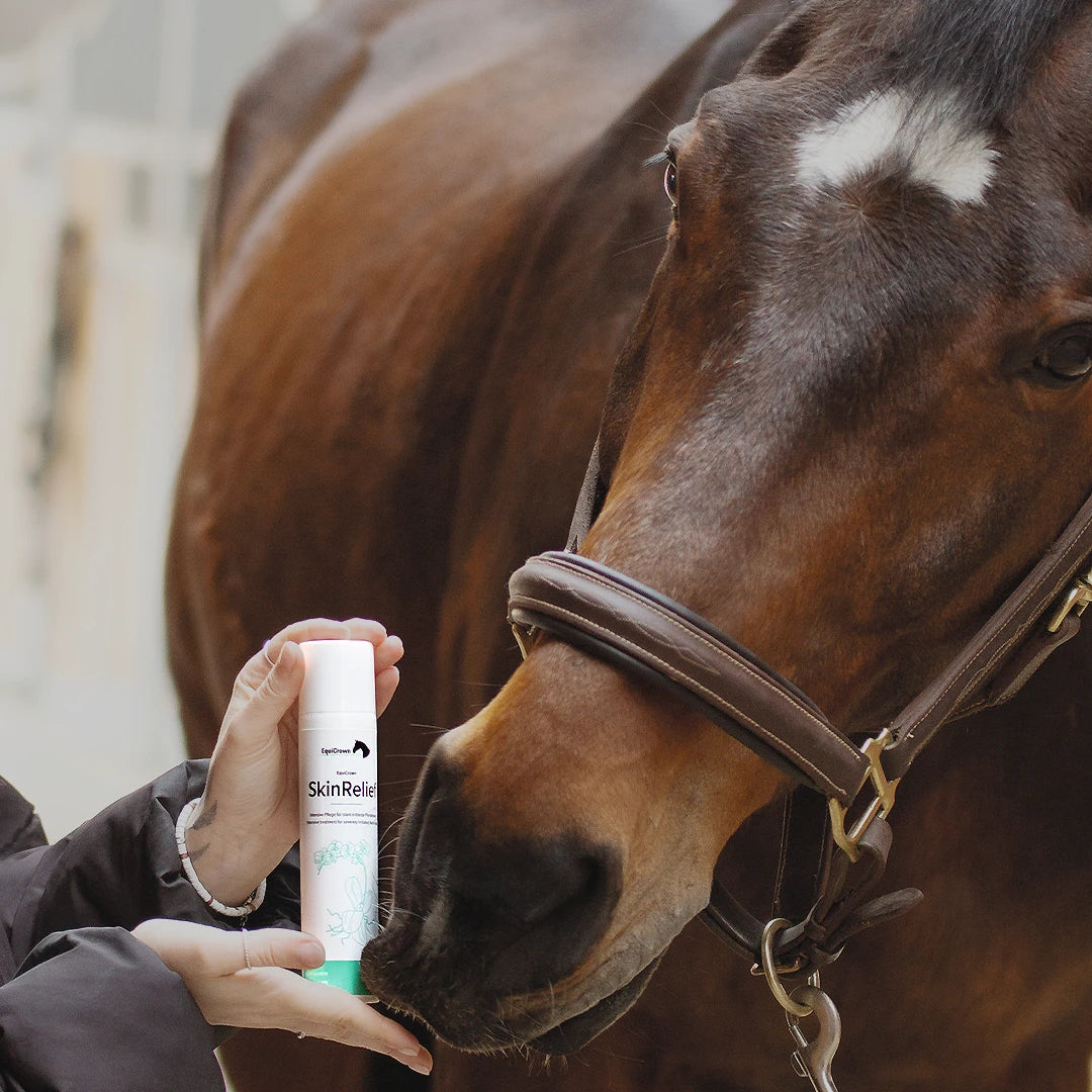 Pferd schnuppert an EquiCrown SkinRelief Hautpflege