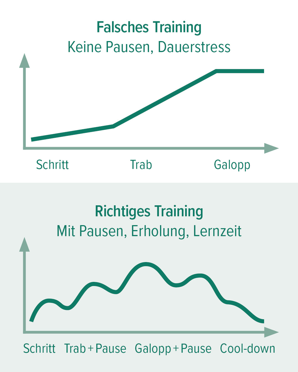 Zwei Graphen zu falschem und richtigem Training im Vergleich