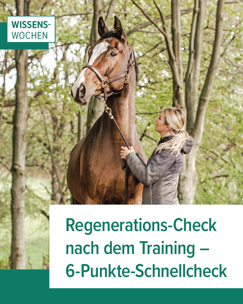 EquiCrown Wissenswochen: Frau hält Pferd am Halfter