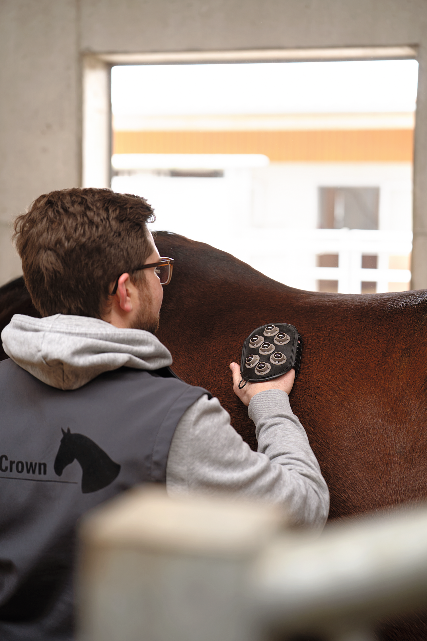 Mann massiert Pferd mit dem EquiCrown Massagestriegel