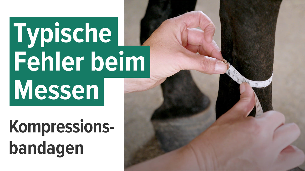 Video laden: Erklärvideo, in dem gezeigt wird, wie man das Pferdebeinf ür die EquiCrown Kompressionsbandage richtig ausmisst