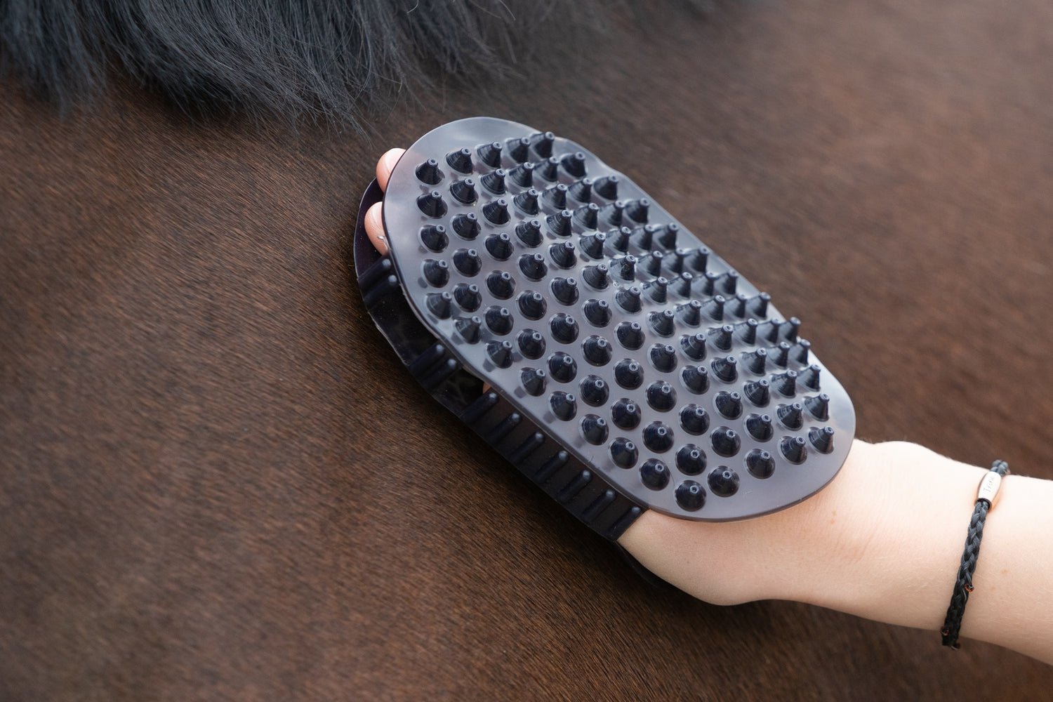 Detailaufnahme einer Hand mit Massagestriegel am Pferdehals
