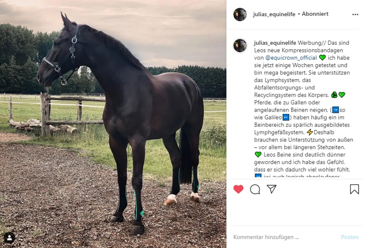 Instagram-Screenshot von Content Creatorin julias_equinelife