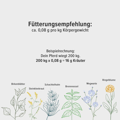 Fütterungsempfehlung der Lymph-Kräutermischung