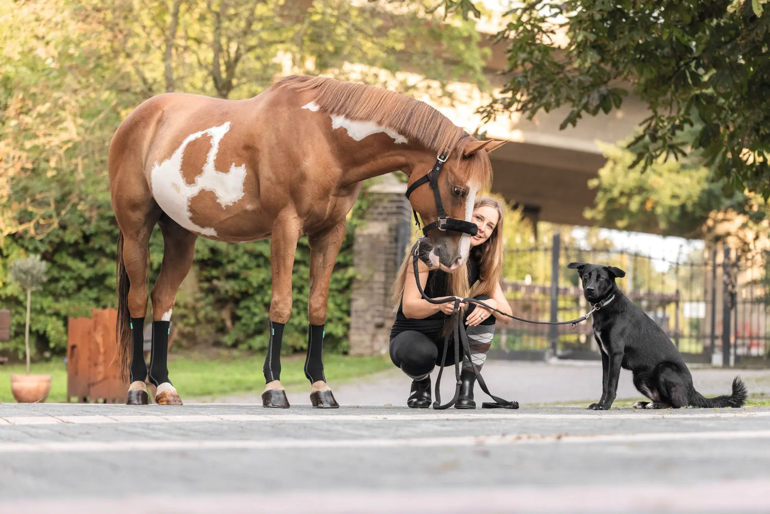 Mädchen in der Hocke zwischen Pferd mit EquiCrown Kompressionsbandagen und schwarzem Hund