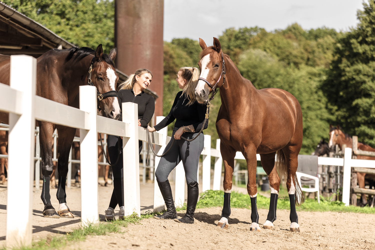 Zwei Mädchen unterhalten sich mit Pferden an der Leine an einem Zaun