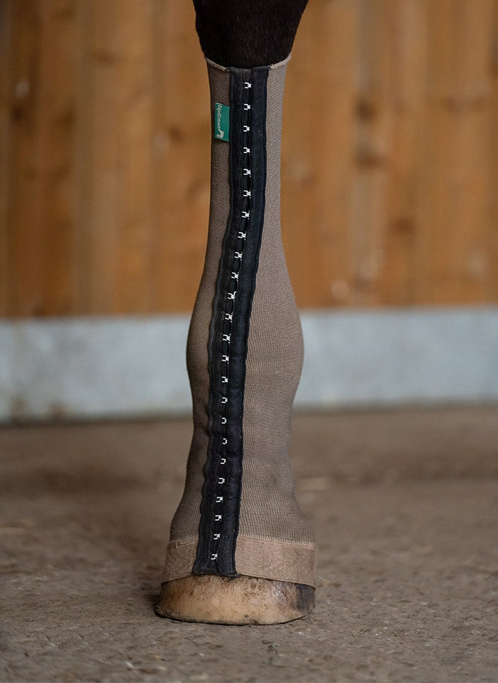 Angezogene EquiCrown med Silver Maßbandage am Pferdebein. 