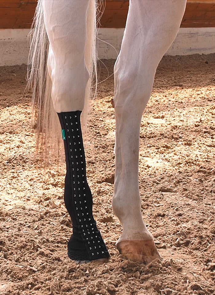 Angezogene EquiCrown med Maßbandage in schwarz am Pferdebein.
