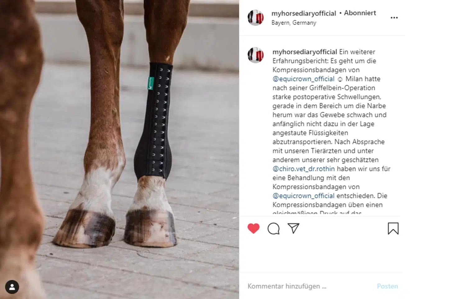 Instagram-Screenshot von Content Creatorin myhorsediaryoffical
