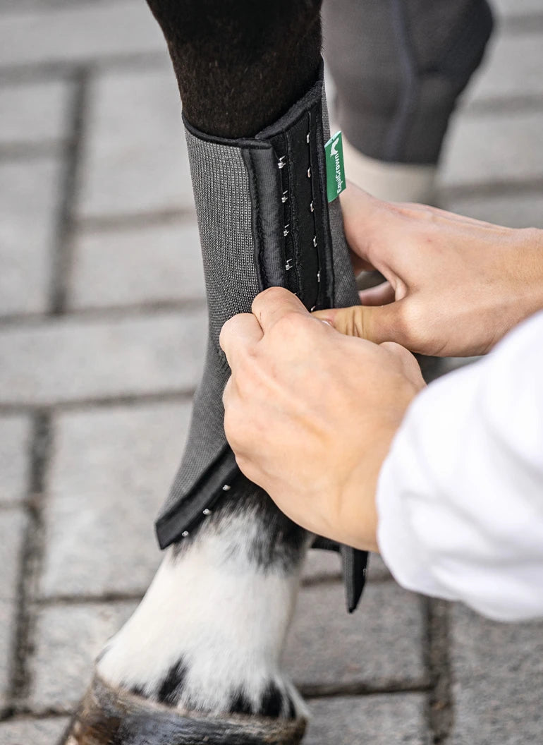 Anziehen der EquiCrown fit Silver am Pferdebein