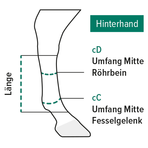 Messanleitung Hinterhand