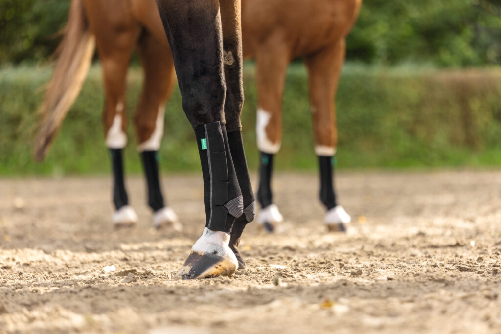 EquiCrown active Kompressionsbandagen am Pferdebein im Vordergrund. Anderes Pferd mit Bandagen verschwommen im Hintergrund.